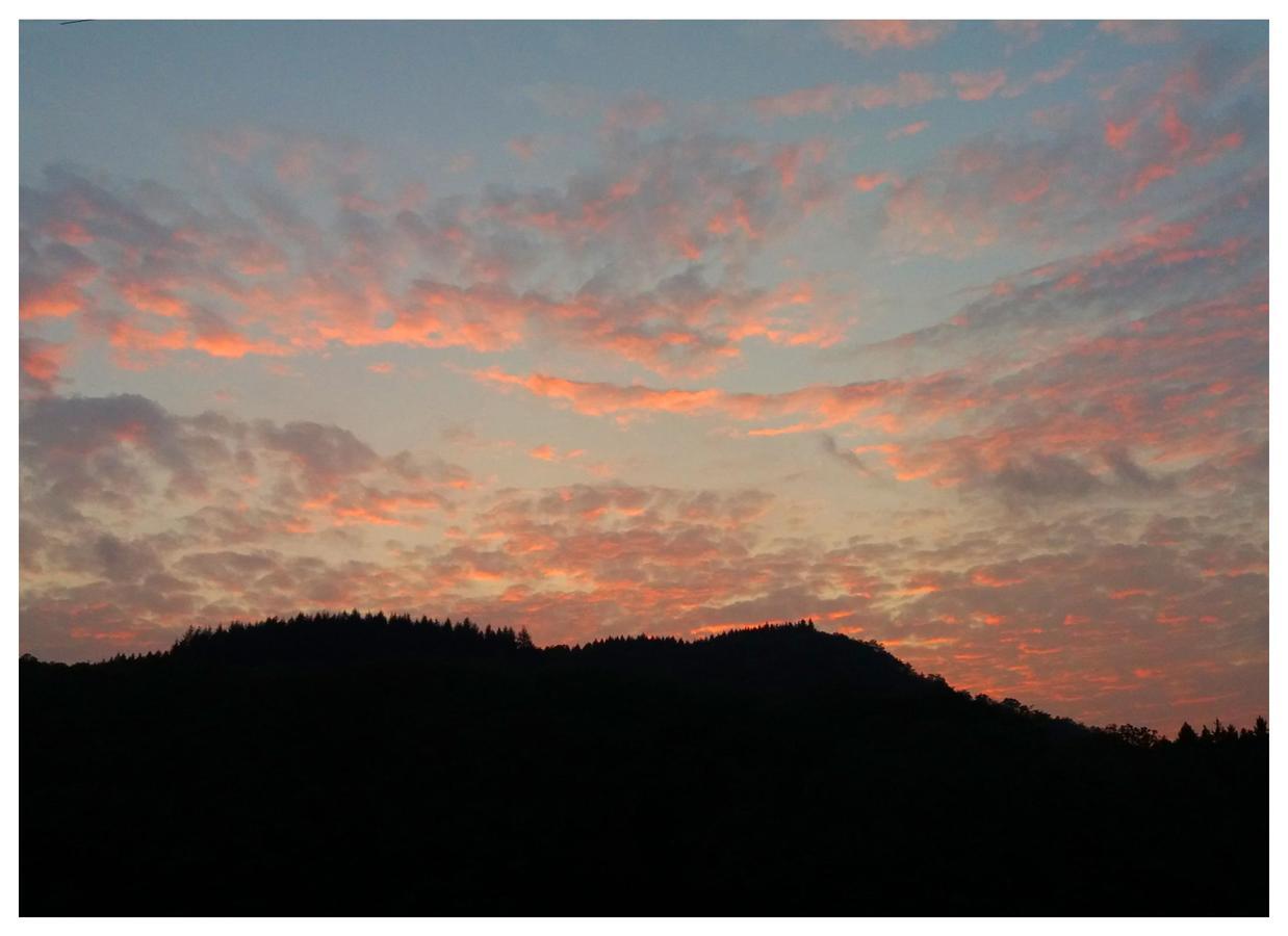 Golden Lion Bed and Breakfast Bouillon Εξωτερικό φωτογραφία