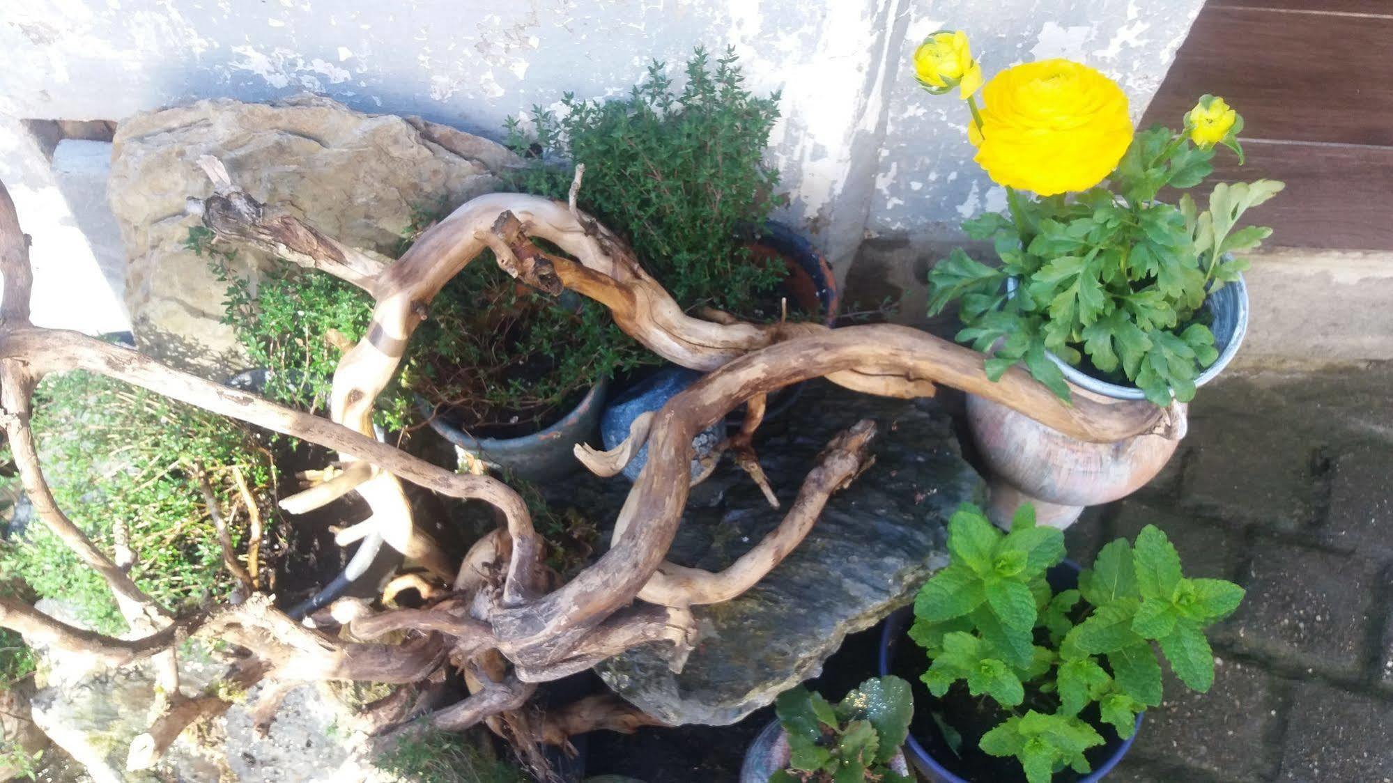 Golden Lion Bed and Breakfast Bouillon Εξωτερικό φωτογραφία